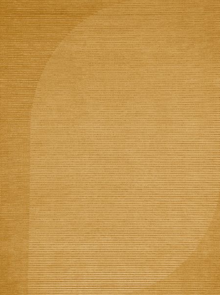 Relief Cammello Carpet - Poliform